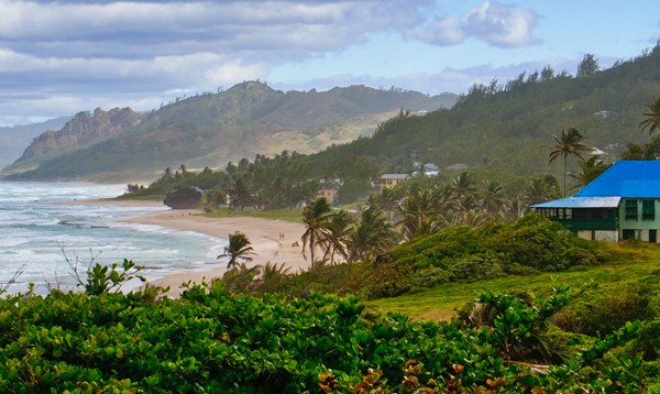 Coast of Barbados