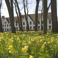 9 Best Cities in Belgium & Best Time of Year to Visit