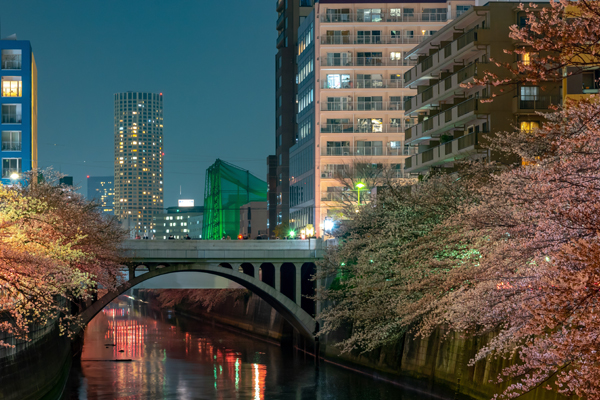 Tokyo, Japan