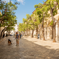 7 Unique Tourist Attractions in Lucca