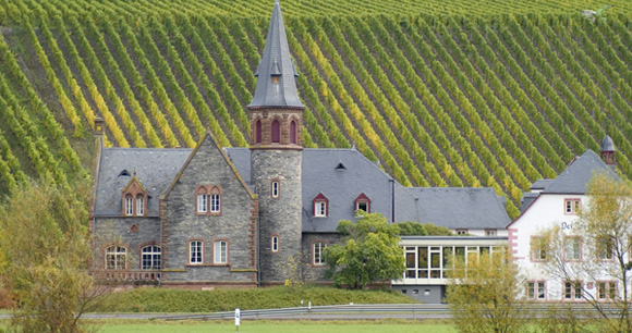 A Beautiful Vineyard in Germany