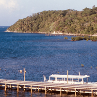 7 Unique Tourist Attractions in Roatan