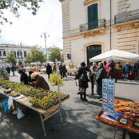 7 Unique Tourist Attractions in Genoa