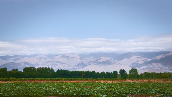 Mendoza, Argentina