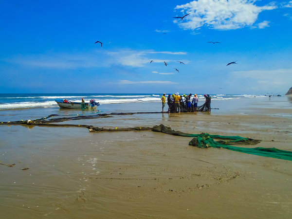 Travel San Clemente - 7 Unique Tourist Attractions in San Clemente