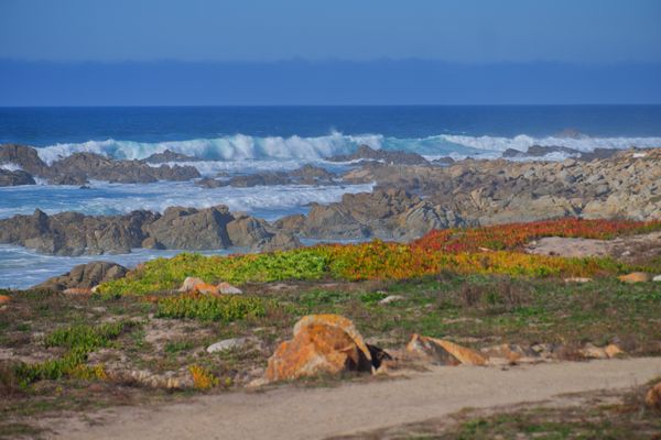 Monterey