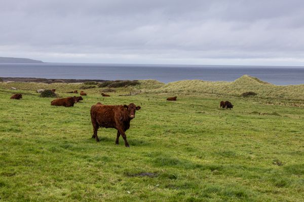 Sligo