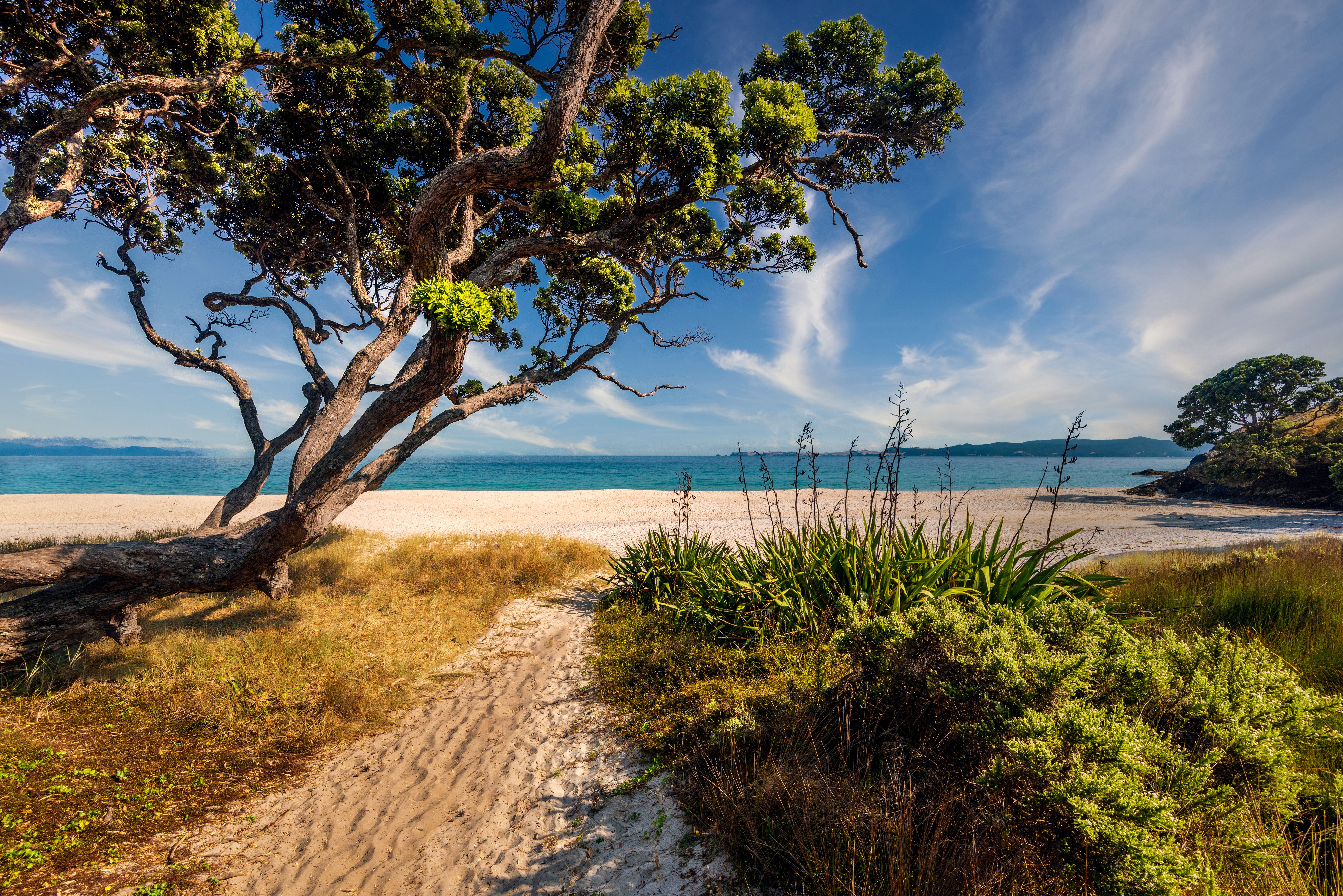 New Zealand