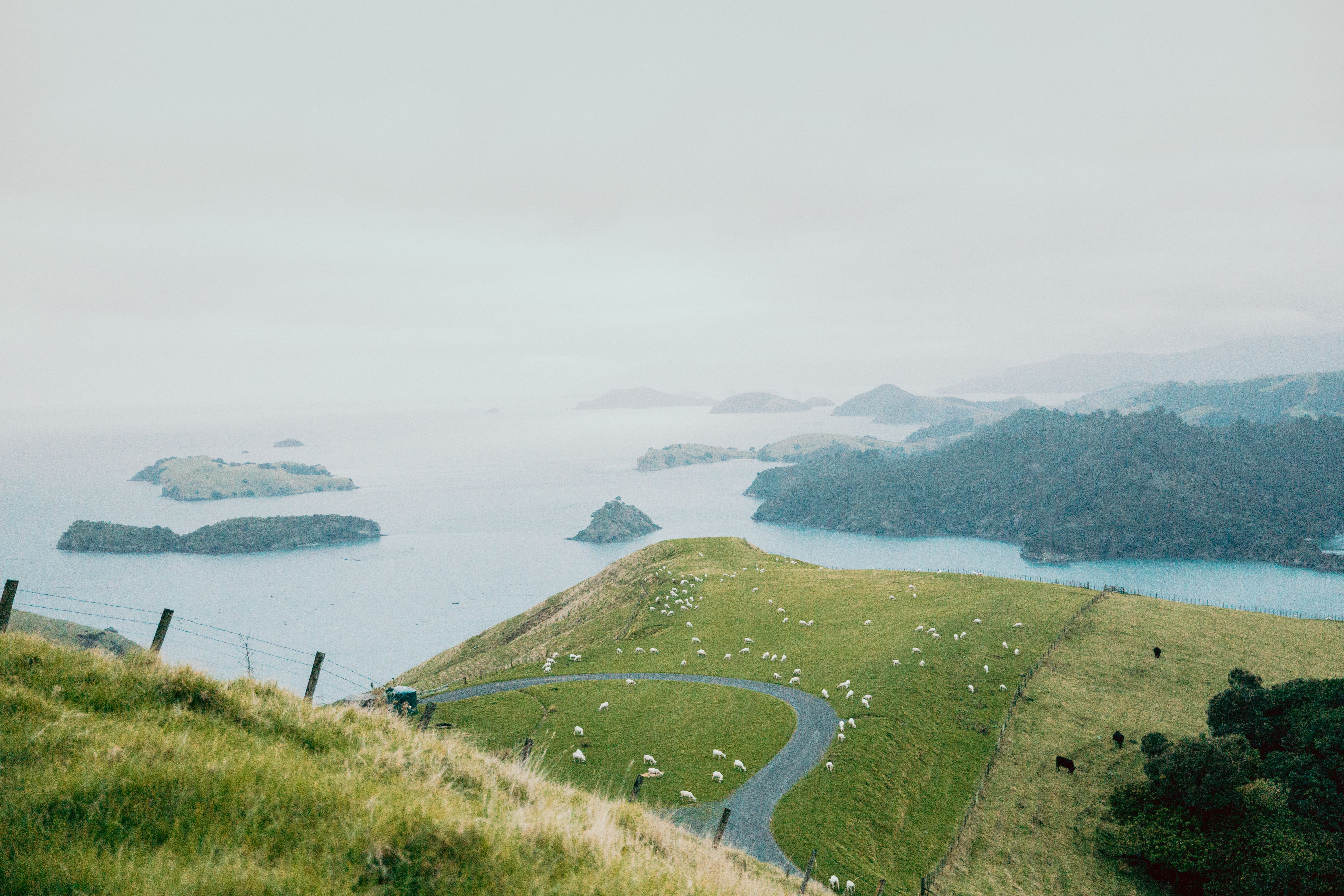 New Zealand